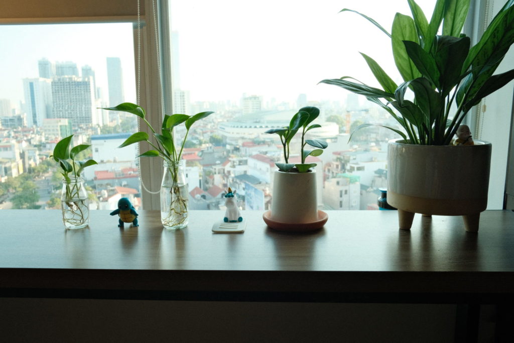 8 cuốn sách phải đọc về lập trình