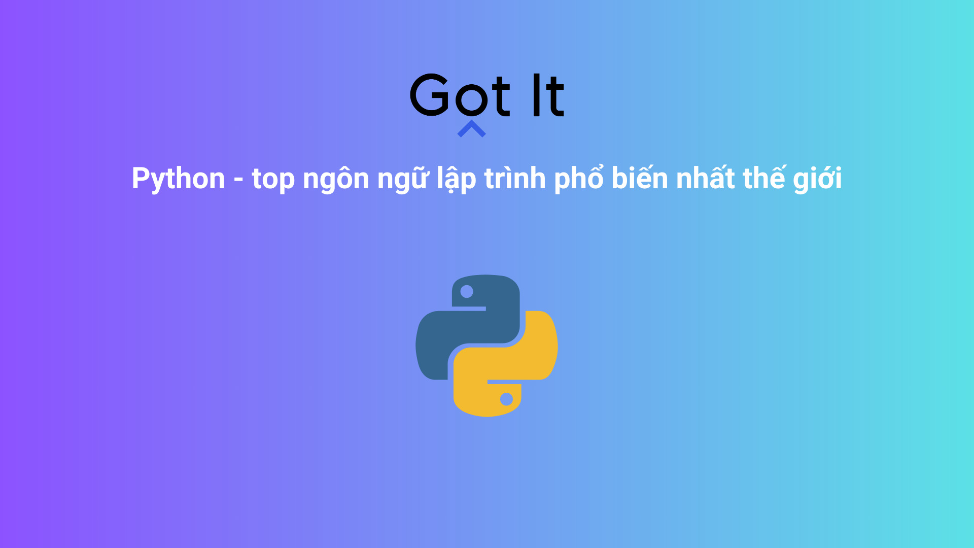 Học Python có khó không? - Blog | Got It Vietnam